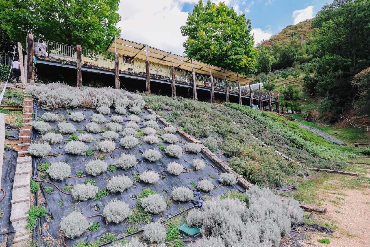 Alzano Lombardo Agriturismo Ca' Fenile מראה חיצוני תמונה