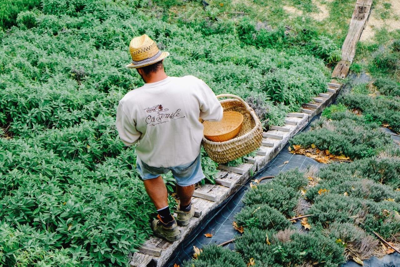 הוילה Alzano Lombardo Agriturismo Ca' Fenile מראה חיצוני תמונה