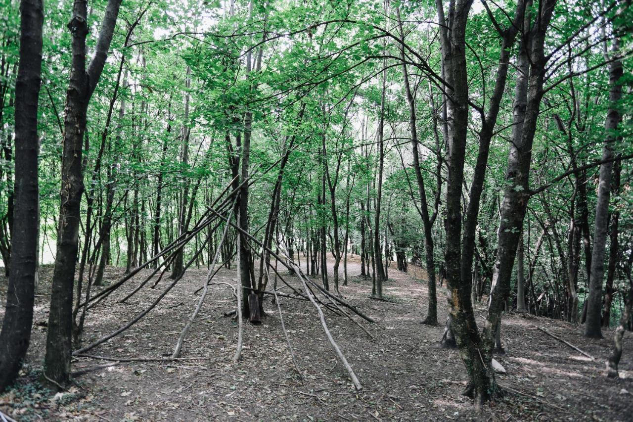 הוילה Alzano Lombardo Agriturismo Ca' Fenile מראה חיצוני תמונה