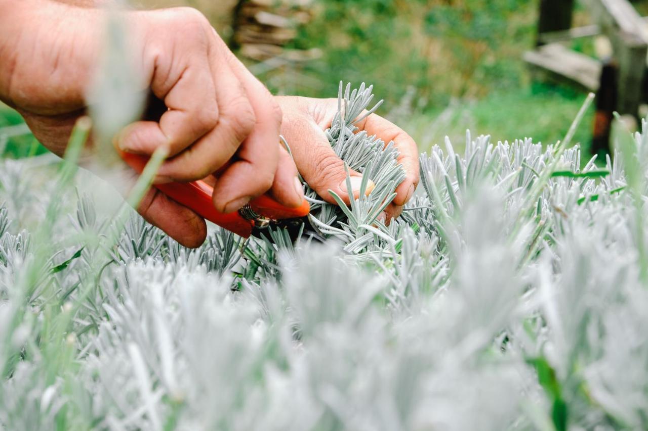 הוילה Alzano Lombardo Agriturismo Ca' Fenile מראה חיצוני תמונה