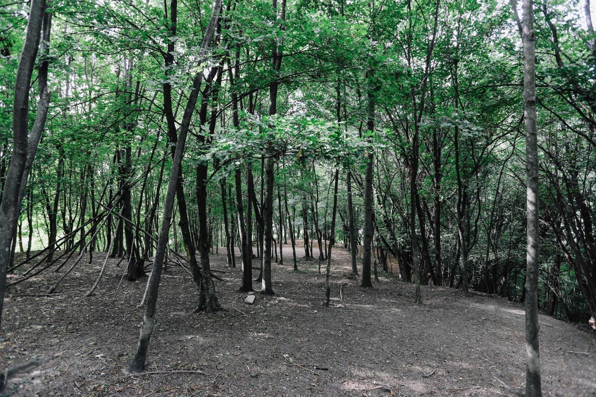 הוילה Alzano Lombardo Agriturismo Ca' Fenile מראה חיצוני תמונה