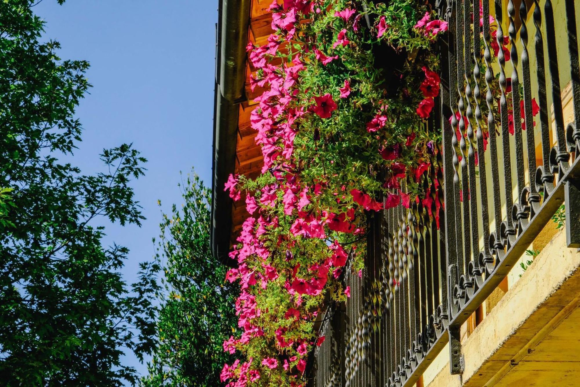 הוילה Alzano Lombardo Agriturismo Ca' Fenile מראה חיצוני תמונה